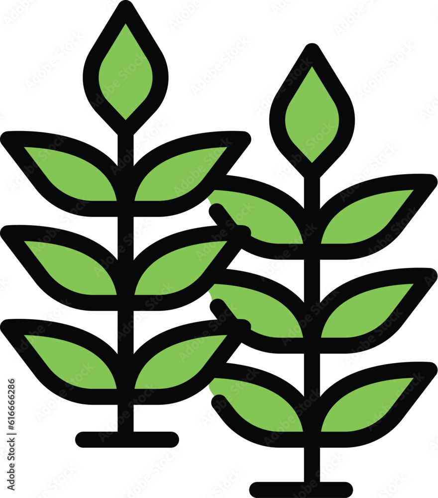 Wheat plant icon outline vector. Barley grain. Agriculture field color flat