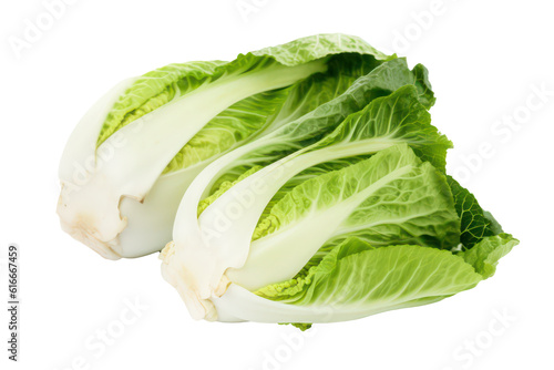 Chinese cabbage isolated on transparent background. Generative AI.
