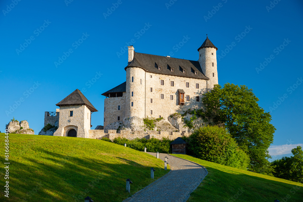 Beautiful view of Bobolice castle, Niegowa, Poland