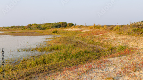 Wadi along the dunes near Formerum at Wadden island Terschelling in Friesland province in The Netherlands photo