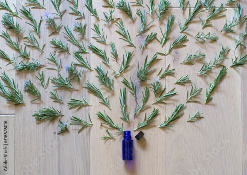organic rosemary essential oil to explode from blue glass bottle