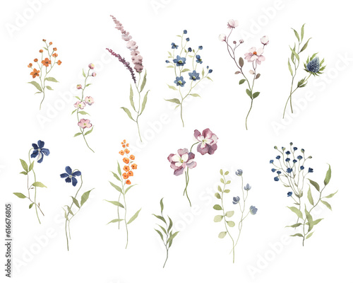 Floral set of delicate branches with flowers  isolated collection watercolor decorative design elements for invitation or greeting cards  wedding floral design  for wallpapers or patterns.