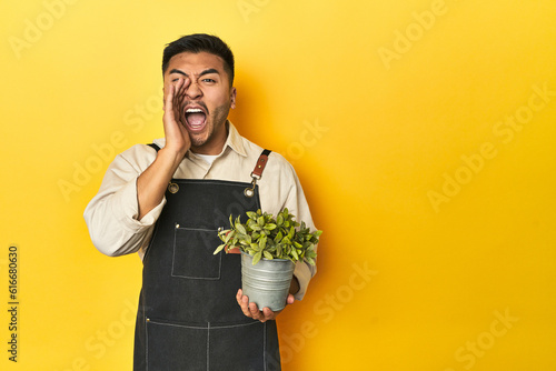 Asian gardener man holding a plant, yellow studio backdrop shouting and holding palm near opened mouth.