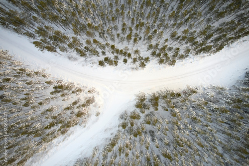 fork in the road in winter forest