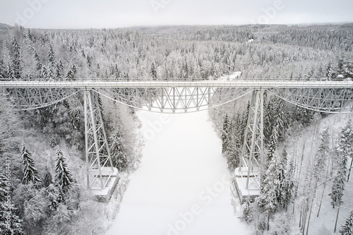 snow covered bridge and trees in the forest