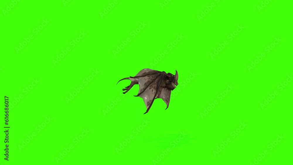 3D Bat is loopflying with a side view animation on the green screen