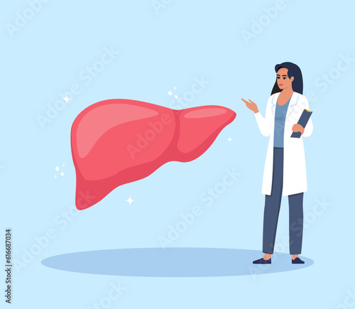 Doctor gives a training lecture about anatomy. Doctor presenting human liver infographics. Medical seminar, lecture, healthcare meeting concept. Vector illustration.