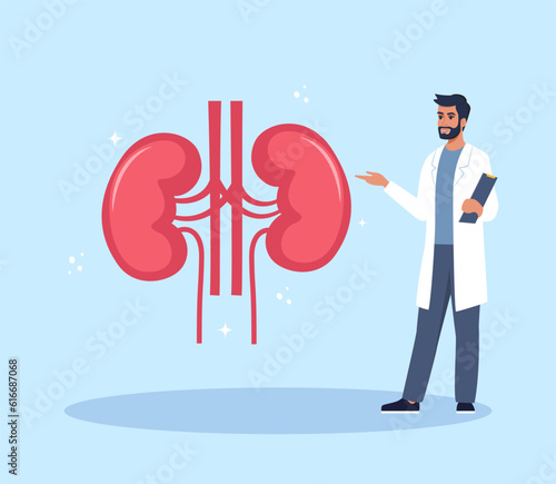 Doctor gives a training lecture about anatomy. Doctor presenting human kidneys infographics. Medical seminar, lecture, healthcare meeting concept. Vector illustration.