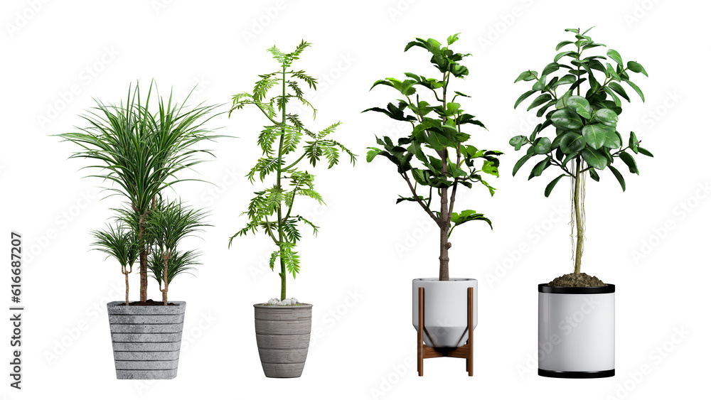 Collection of 3d realistic v illustration potted plants for the ...