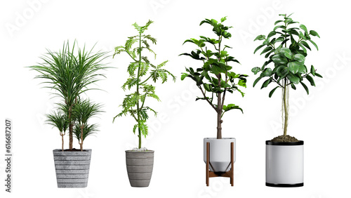  Collection of 3d realistic v illustration potted plants for the interior. Isolated on white background. Potted Plant set with shadow, realistic 3d illustration