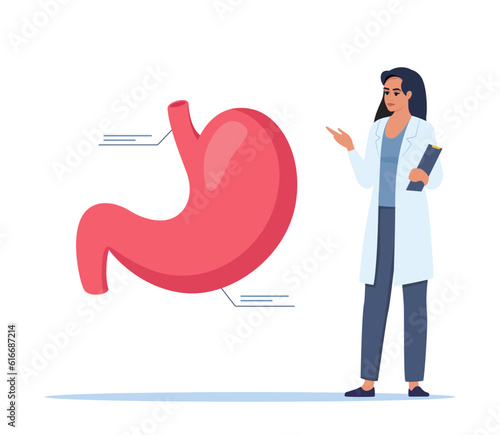 Doctor gives a training lecture about anatomy. Doctor presenting human stomach infographics. Medical seminar, lecture, healthcare meeting concept. Vector illustration.