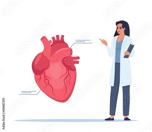 Doctor gives a training lecture about anatomy. Doctor presenting human heart infographics. Medical seminar, lecture, healthcare meeting concept. Vector illustration.