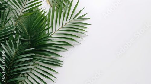 Tropical leaves palm on white background generated ai