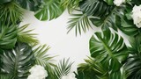 Tropical leaves Monstera and palm on white background generated ai