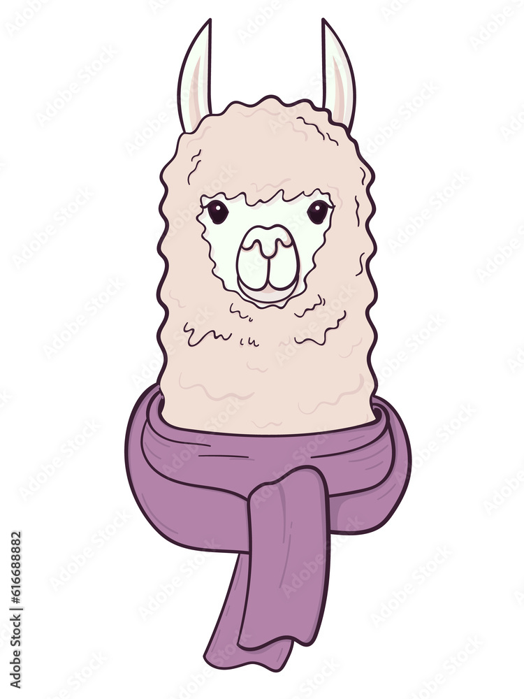 Cute Lama face with scarf. Childish print for fabric, t-shirt, poster. Illustration on transparent background Cute Lama face with scarf. Childish print for fabric, t-shirt, poster. Illustration on transparent background