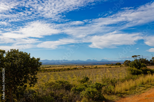 Beautiful fields and mountains under a blue sky on the road towards George  Western Cape  South Africa.