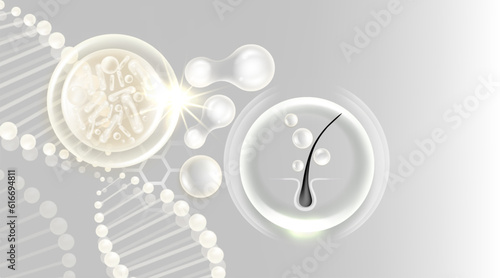 Probiotic and Hyaluronic acid hair and skin solutions ad, white collagen, and vitamin serum drop with cosmetic advertising background ready to use illustration vector.