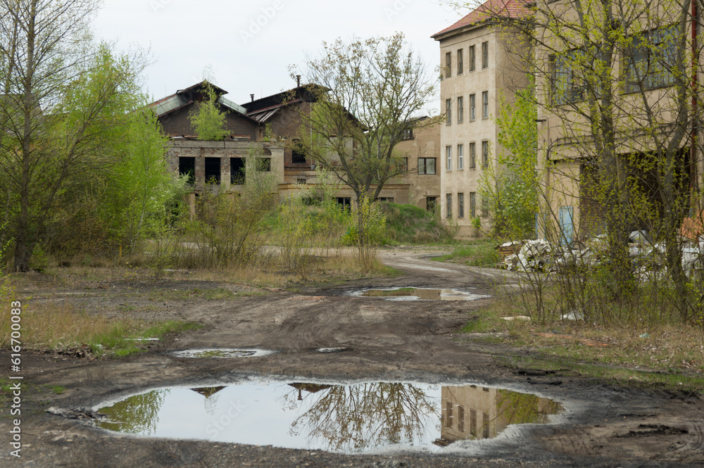 Exterior or large abandoned and empty industrial zone with aged buildings and wild growth