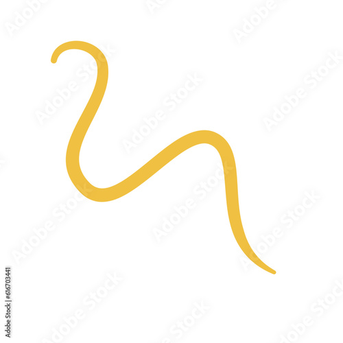 Worm Intestinal Parasite