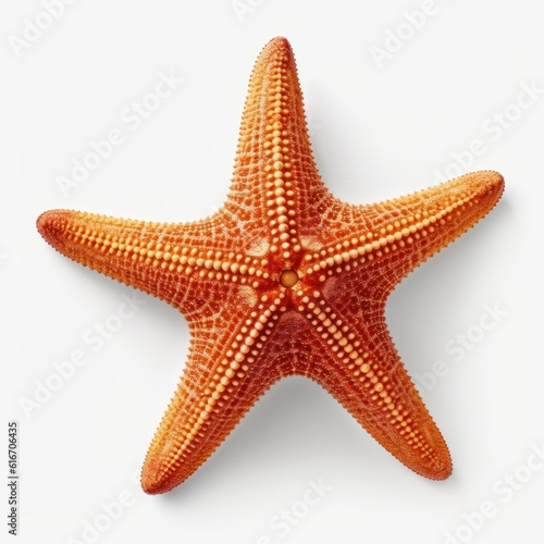 Starfish Water Animal. Isolated on White Background. Generative AI.