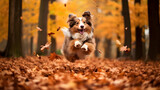 chien en train de courir au milieu des feuilles mortes à l'automne - IA générative