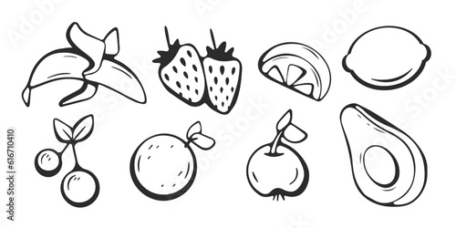 Set of vector fruit elements bananas  lemons  oranges  strawberries  cherries  avocados and apples in line style.