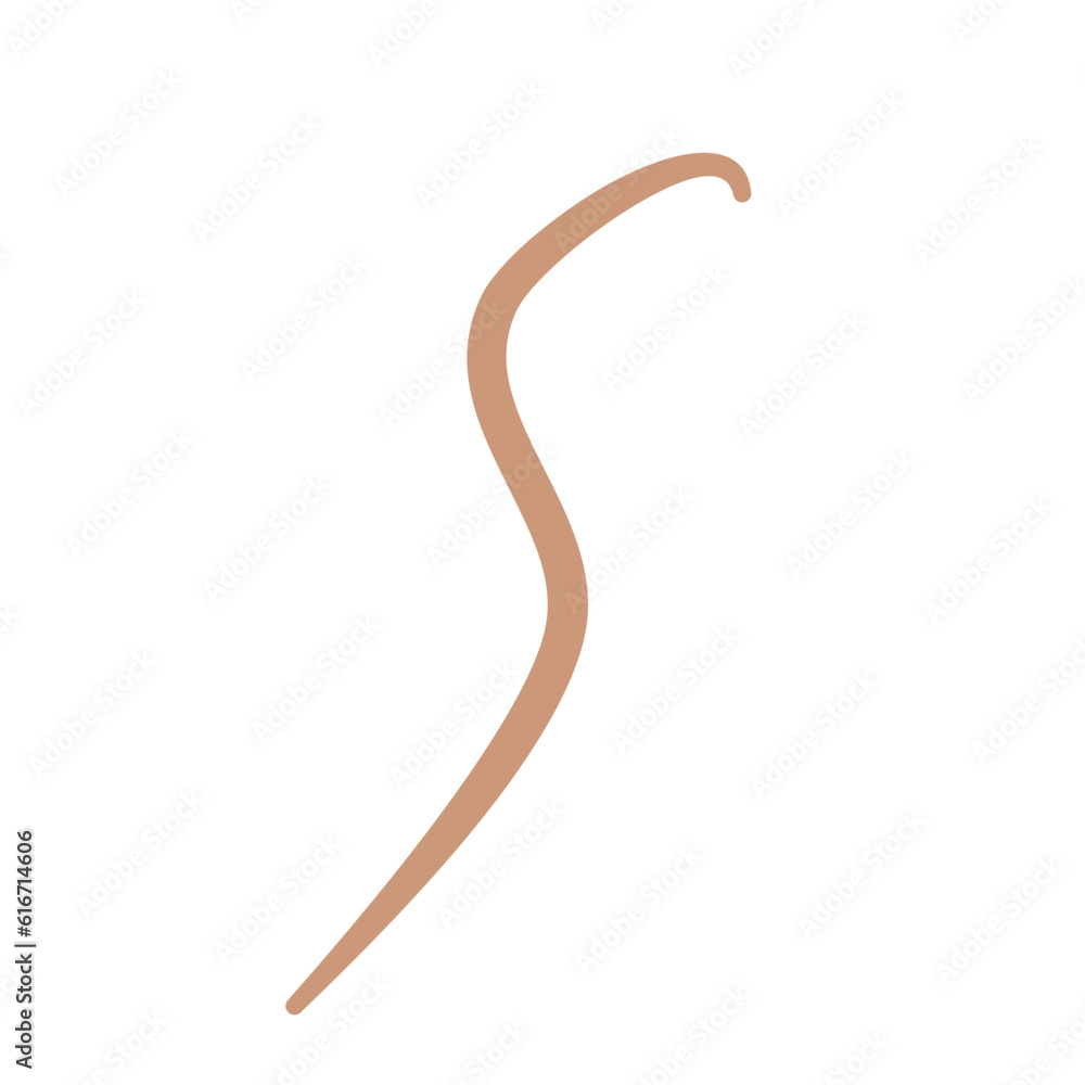 Earthworm Logo, Isolated Earthworm on White Background