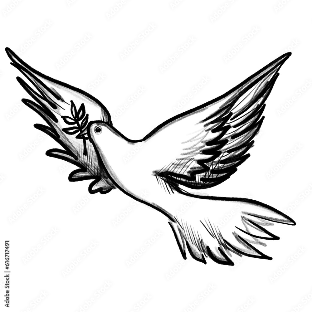Obraz premium Hand drawn peace dove with olive branch (black pencil)