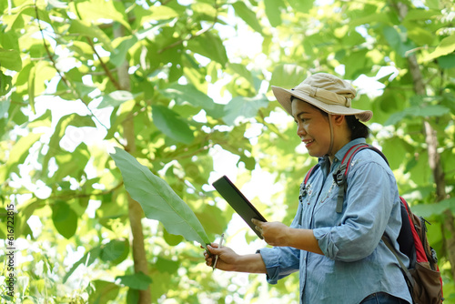 Asian woman botanist is at forest, hold smart tablet to survey  botancal plants in forest. Concept,  field research outdoor. Nature surveying. Ecology and environment conservation.      