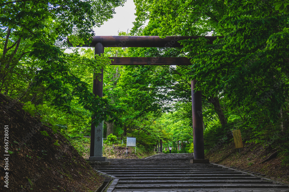 Torii of Hokkaido shrine located in Sapporo, Japan Torii of Hokkaido shrine located in Sapporo, Japan