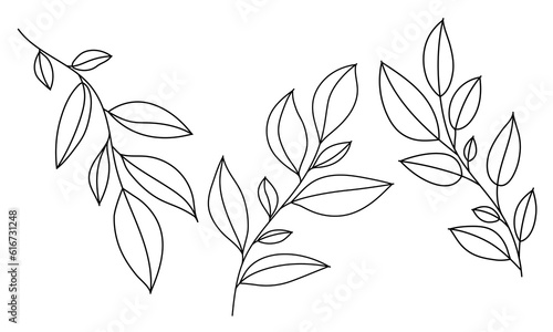 Set line art twigs with leaves. Outline hand drawn leaf