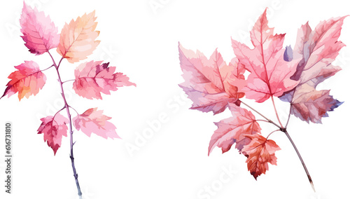 Autumn leaf clipart, isolated vector illustration.