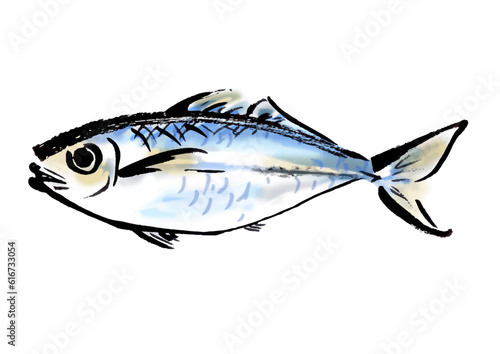 鯵の手描き和風イラスト和風素材