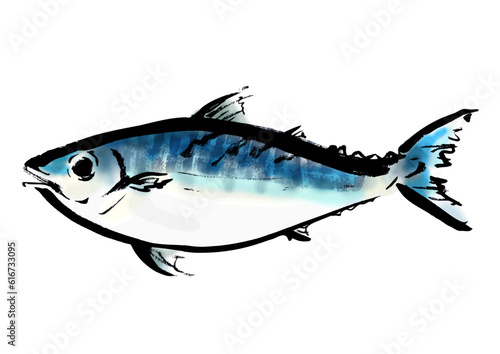 鯖の手描き和風イラスト和風素材