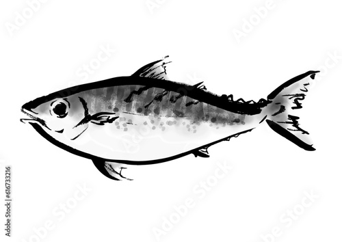 ゴマサバ、の手描き和風イラスト和風素材