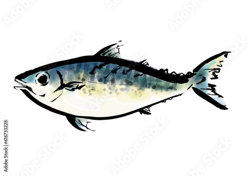 ゴマサバ、の手描き和風イラスト和風素材