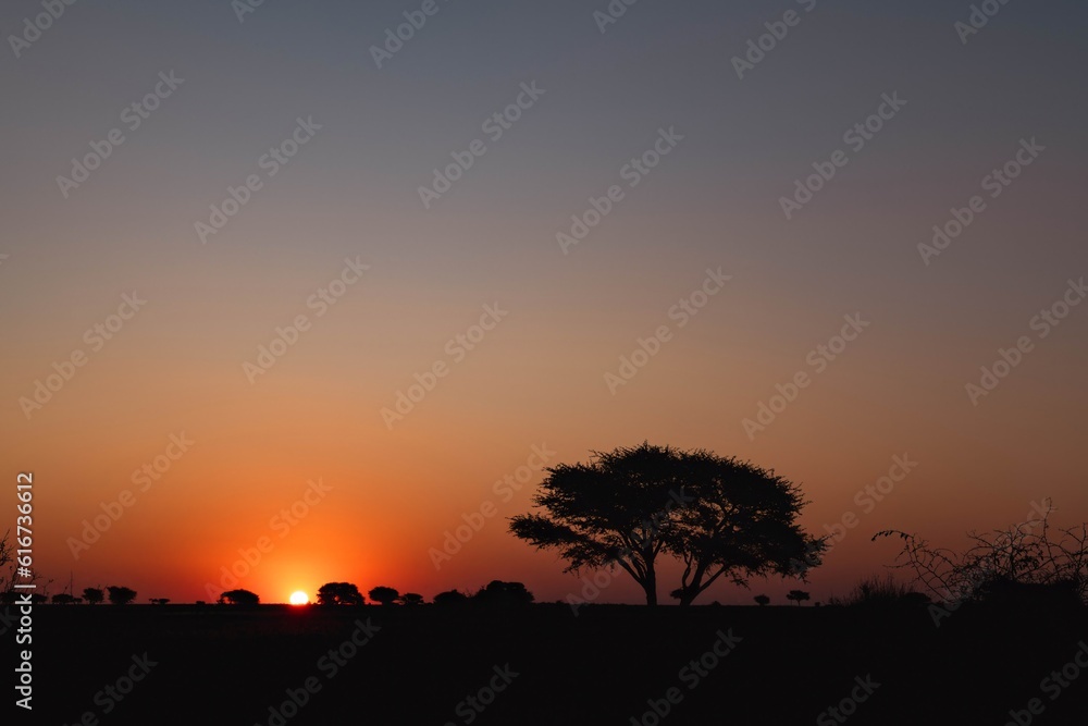 Africa sunset