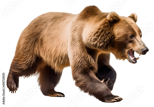 scary grizzly bear running to hunt, isolated background. Generative Ai photo