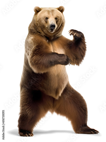 Brown bear standing in a fighting position, isolated background. Generative Ai © FP Creative Stock