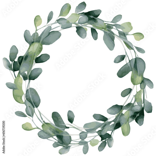 Laurel wreath, watercolor green eucalyptus leaves and branch vector