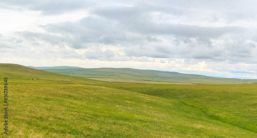 landscape with green grass and clouds.  Mongolian meadow. panoramic view of the Mongolian grassland.	