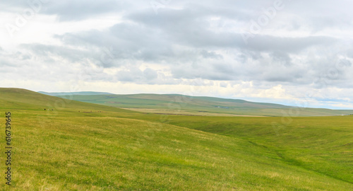 landscape with green grass and clouds.  Mongolian meadow. panoramic view of the Mongolian grassland. 