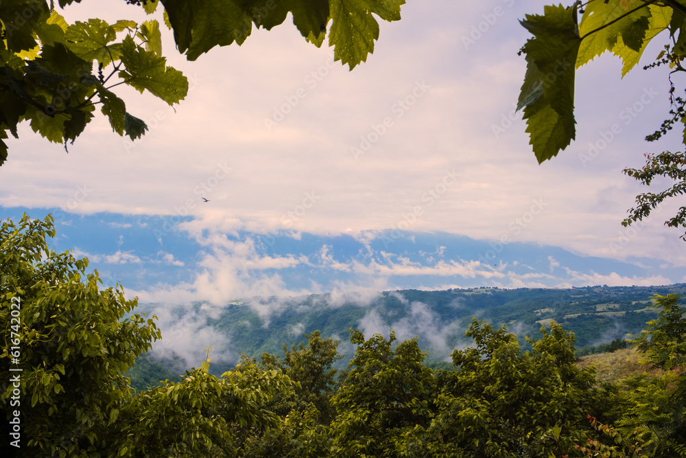Panorama of forest and mountain.  View from Belasitsa,  Bulgaria