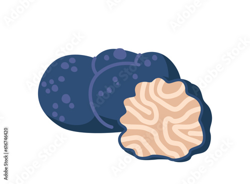 Truffle Mushrooms Are A Gourmet Delicacy Known For Their Earthy Aroma And Rich Taste. They Add Luxurious Touch To Dishes