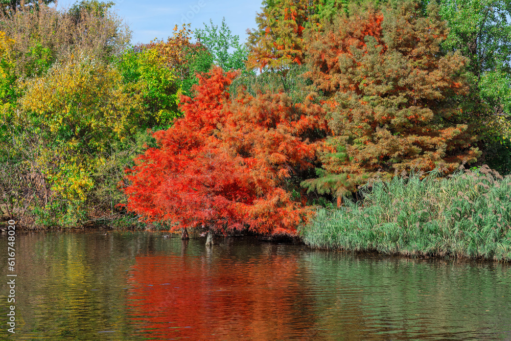 Autumn landscape with colorful trees on river Autumn landscape with colorful trees on river