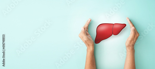 Hand hold liver organ on blue background for health care liver cancer disease protection and organ donation concept