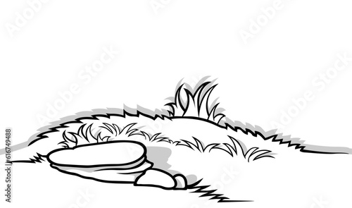 Drawing of Grass with Stones