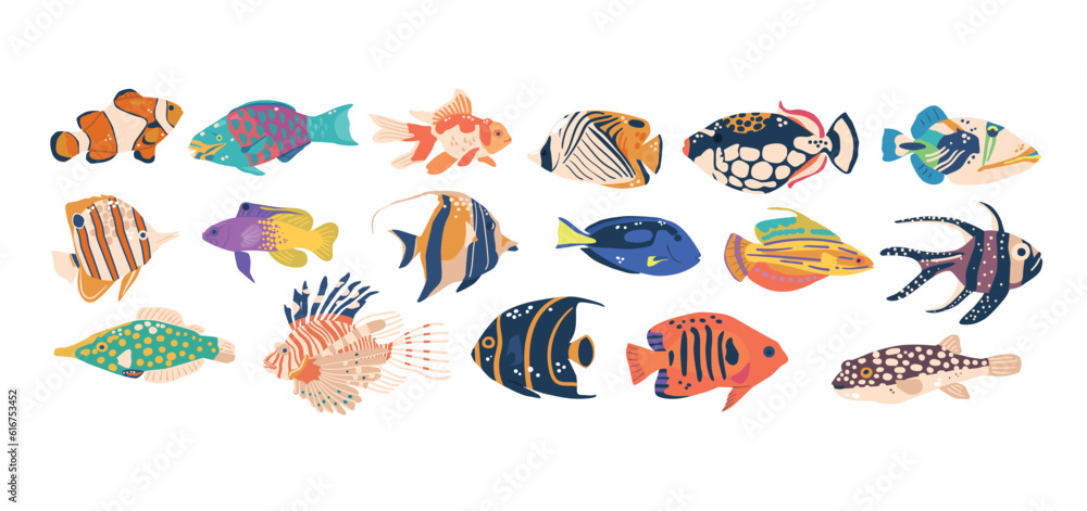 Diverse Set Of Sea Fishes Clown, Angel, Butterfly, Showcase The Beauty And Variety Of Underwater Life, Illustration