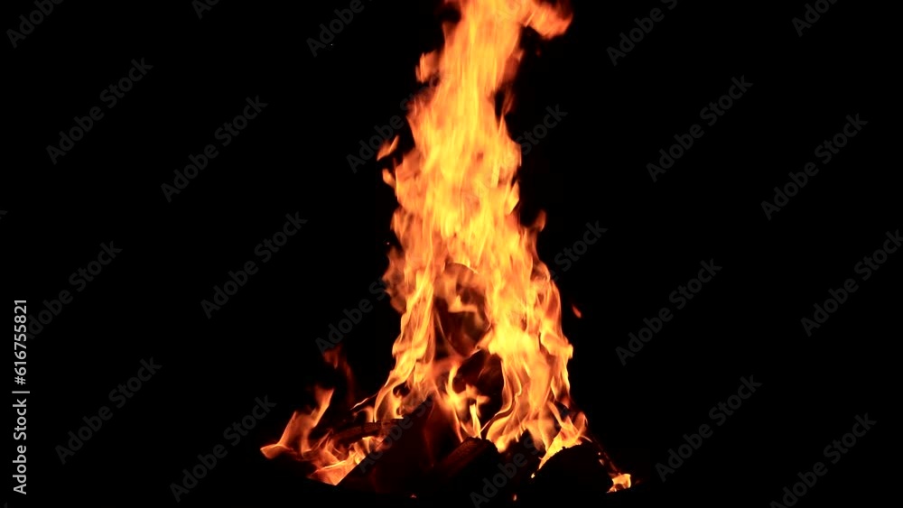 campfire, burning fire, crackling sounds
campfire, burning fire, crackling sounds