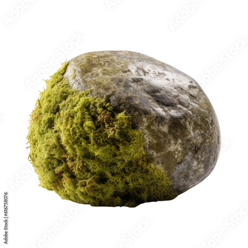 Nature mossy rock isolated on a transparent background